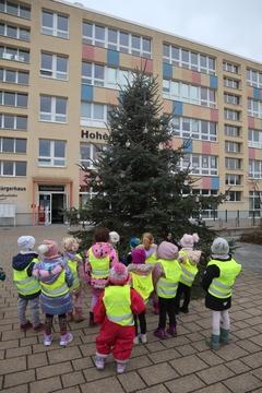 Kinder der "Kita Keks & Krümel" beim Gestalten des Weihnachtsbaumes.