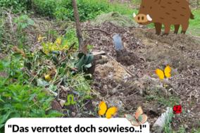 Gartenabfälle gehören nicht in den Wald