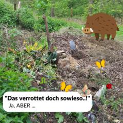 Gartenabfälle gehören nicht in den Wald