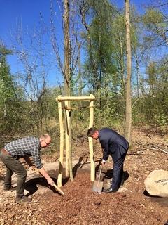 OB Steffen Scheler und Stadtförster Thomas Meier bedecken die Flatterulme mit Mulch.