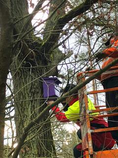 Montage der Nistkästen