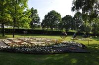Wiese mit Blumen