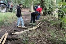 Das Holz wird an Ort und Stelle verbracht