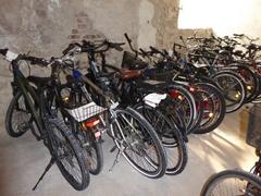 viele Fahrräder stehen in einer Reihe im Keller