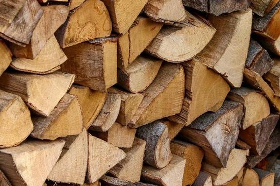 Kein Brennholz aus dem Stadtwald verfügbar