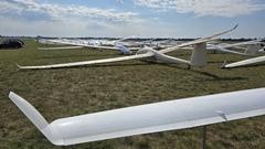 Viele Segelflugzeuge stehen bereit.