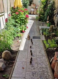 Der kürzeste Weg zum Wasser führte über das Grundstück von Bäcker Rettig.