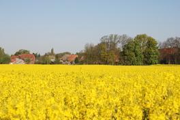 9. Projektauswahlverfahren für die LEADER – Förderung ist gestartet 