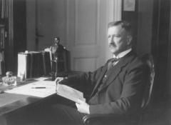 (Haken-)Kreuz und Preußenadler. Die vielen Gesichter des Ludwig Ziehen