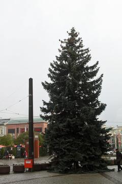 Weihnachtsbaum