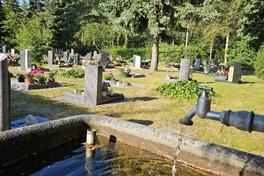 Wasserhan auf dem Friehof