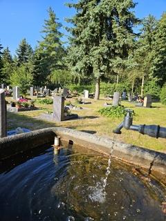 Wasserhan auf dem Friehof