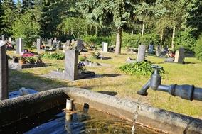 Wasserhan auf dem Friehof