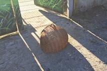 Vor dieser Tür wurde die Katze im Korb ausgesetzt.