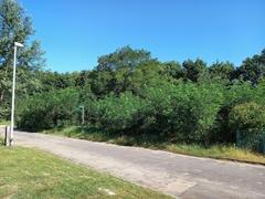 Baugrundstück Kirchmöser, Siedlungsstraße