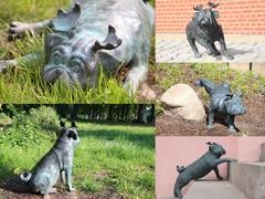 Waldmöpse in Brandenburg an der Havel