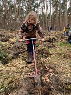 Auch Luise ist mit vollem Einsatz bei der Pflanzaktion im Einsatz.