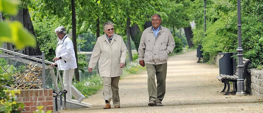 Älteres Paar spaziert in einem Park