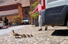 Der Rettungseinsatz begann.