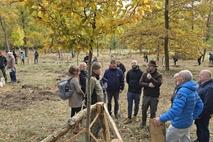 Und schließlich war der Bürgerwald ein ganzes Stück bunter und bewachsener.
