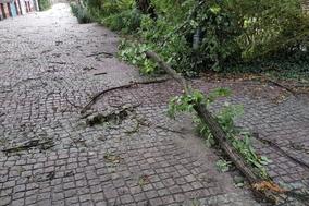 Sturmschaden