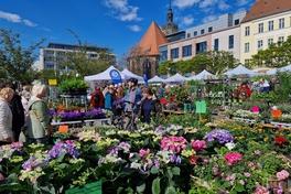 Stets im April grünt und blüht es im Stadtzentrum.