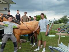 Das Zugpferd ist schon mal heil am Beetzsee angekommen. Nun müssen die Cottbusser Studenten nur noch die Einzelteile der Postkutsche zusammenbauen und zum Schwimmen bringen.