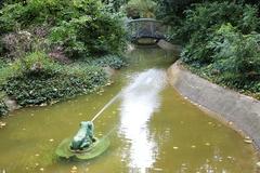 Auch der Frosch im Humboldthain hat eine Geschichte parat.