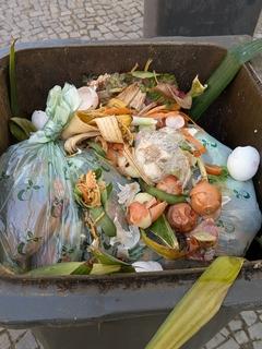 Die im Handel oft als "kompostierbar" angepriesenen Biomüllbeutel gehören auf Grund des langen Zersetzungsprozesses nicht in die Biotonne.