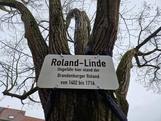 Die Gedenktafel an der "Rolandlinde". Hier stand der Roland ursprünglich, wie auch schon sein Vorgänger.