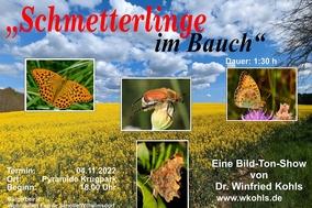 Im Hintergrund ein Rapsfeld und blauer Himmel. Im Vordergrund die Aufschrift "Schmetterlinge im Bauch" und verschiedene Bilder von Schmetterlingen. 