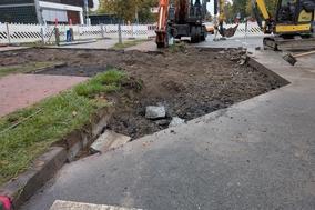 Willi-Sänger-Straße Fußgängerüberweg