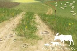 Poster der Wanderausstellung Wolf, Bieber, Elch und Co. Eine Grafik eines Waldwegs, daneben eine Wiese mit Schafen, im Hintergrund eine Stadt. Bild: BUND Brandenburg