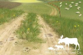 Poster der Wanderausstellung Wolf, Bieber, Elch und Co. Eine Grafik eines Waldwegs, daneben eine Wiese mit Schafen, im Hintergrund eine Stadt. Bild: BUND Brandenburg