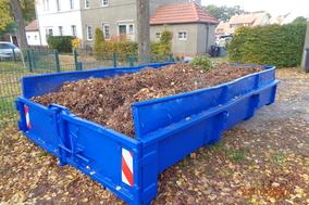 Laubcontainer in der Stadt Brandenburg an der Havel 
