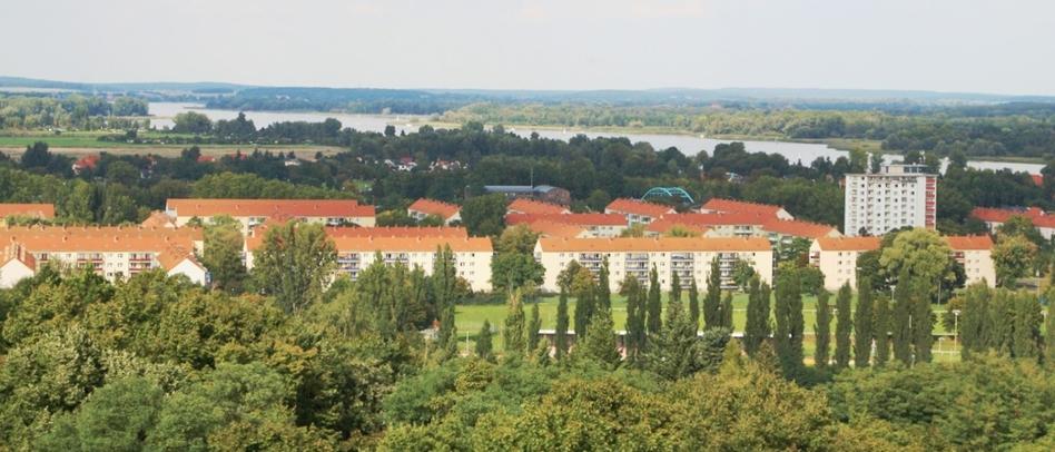 Luftbild von einem Wohnviertel mit vielen Bäumen und Wohnblocks mit roten Spitzdächern