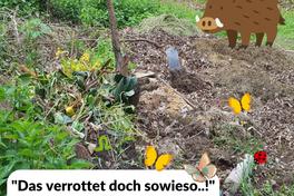 Illegale Grünabfälle im Wald