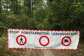 Holzeinschlagsarbeiten und Sperrung des Weges von der Eigenen Scholle / Göttin zum Autobahnsee