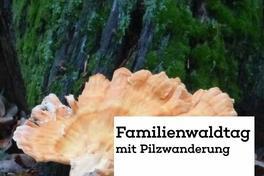 Familienwaldtag im Krugpark