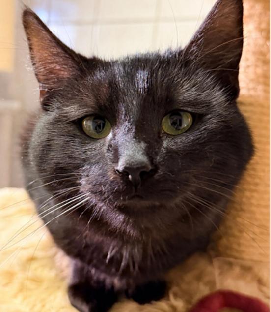 Billy mit sanften Blick.