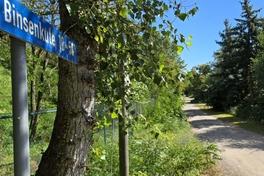 Die Binsenkute in Neuendorf ist arg löchrig.