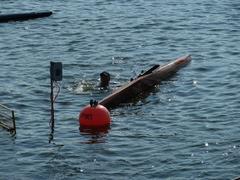 Manchmal passieren auch kleine Missgeschicke.