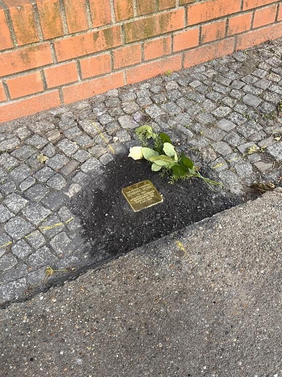 Bewegende Schicksale Stolpersteine für jüdische Brandenburgerinnen