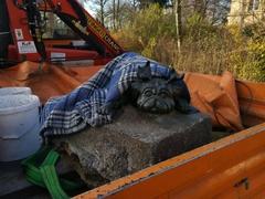 Schön, dass er wieder da ist, der Kleine. Dank der wärmenden Decke hat er die Fahrt von Schöneiche auch ohne Unterkühlung überstanden.