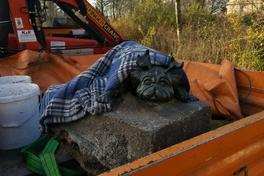 Waldmops hat Operation gut überstanden