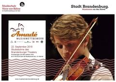 Plakat des Amadé Wettbewerbs. Als Bildmotiv ist ein Jugendlicher, der Geige spielt, zu sehen.