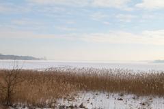 Historische Tontaubenschießanlage an Plauer Bürger offiziell übergeben