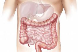 Innere Medizin und Nephrologie/Dialyse