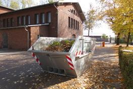 Pilotprojekt Laubsammlung von Straßenbäumen noch bis zum 26.11.2018 
