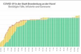 Corona-Wochengrafik des Gesundheitsamtes